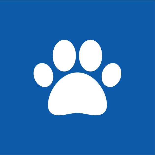 Test 19-06-25
